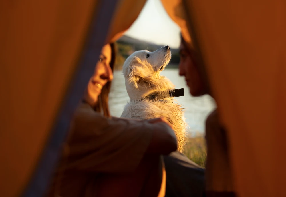 Ultralight Pyramid Tents for Hiking