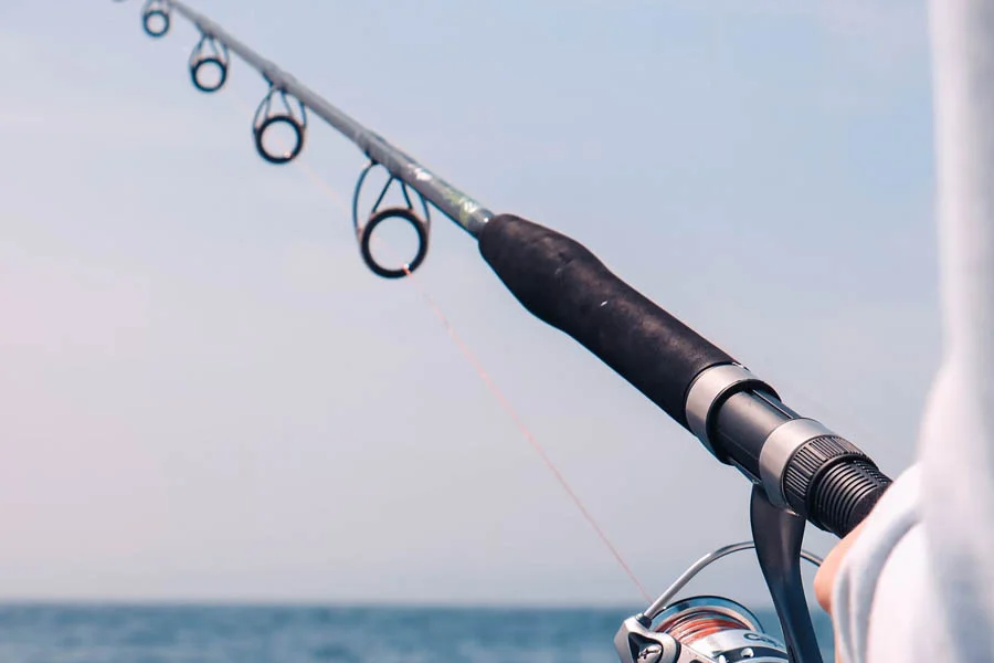 Best spinning fishing rods